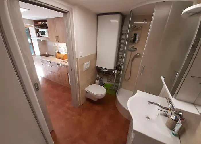 Vakantiehuis Zajicovi